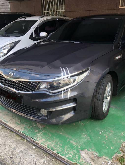 Наклейка на авто у вигляді Кігтя від звіра Біла Світло Київ - фото 5