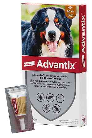Капли Адвантикс для собак весом 40-60 кг 6,0 мл 1 пипетка Elanco Винница