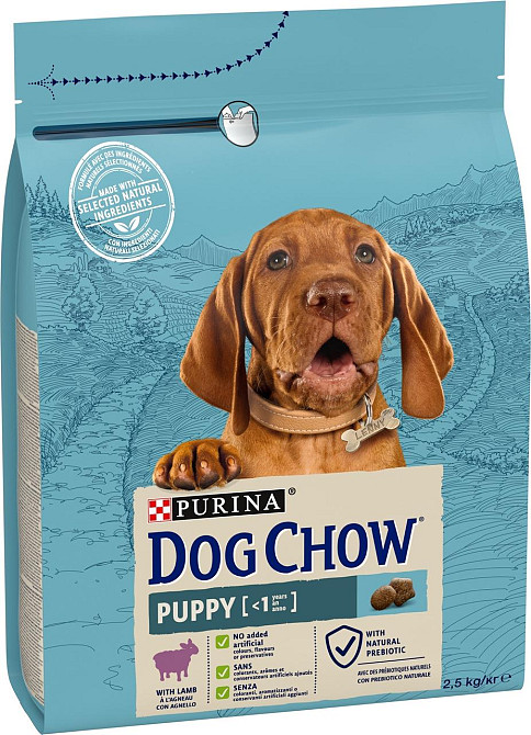Сухой корм для щенков Dog Chow Puppy Lamb с ягненком, 2.5 кг Винница - изображение 1