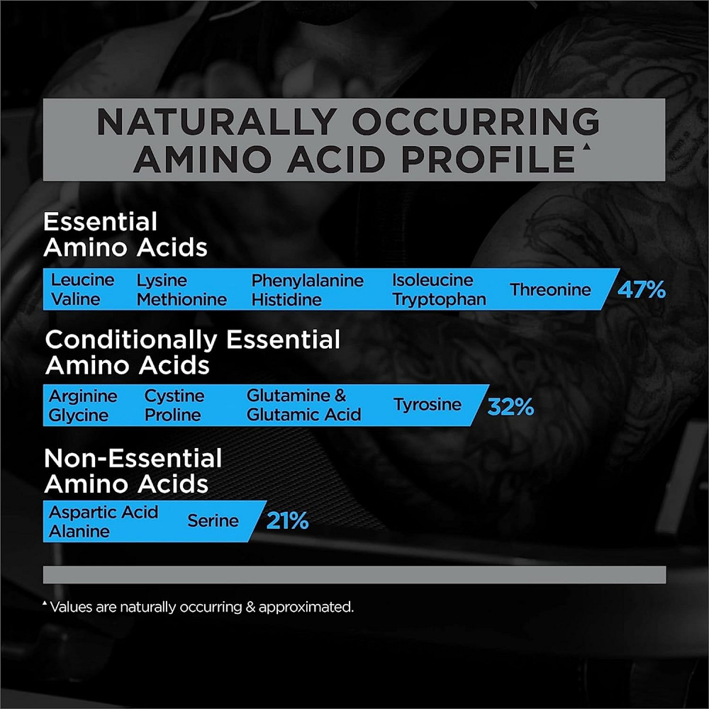 Протеїн Rule One Whey Blend 908 gram (Strawberry Banana ) Луцьк - фото 4