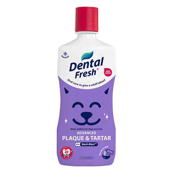 SynergyLabs Dental Fresh Advanced Plaque & Tartar СИНЕРДЖІ ЛАБС СВІЖІСТЬ ЗУБІВ ЕДВАНСЕД добавка до води проти зубного нальоту і запаху з пащі соба Київ