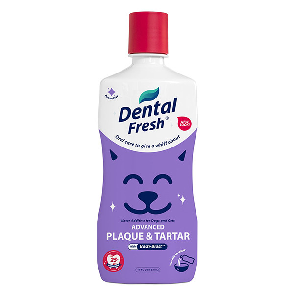 SynergyLabs Dental Fresh Advanced Plaque & Tartar СИНЕРДЖІ ЛАБС СВІЖІСТЬ ЗУБІВ ЕДВАНСЕД добавка до води проти зубного нальоту і запаху з пащі соба Київ - фото 1