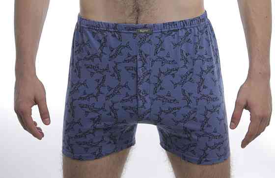 Труси чоловічі сімейні МО 000428 52 Київ