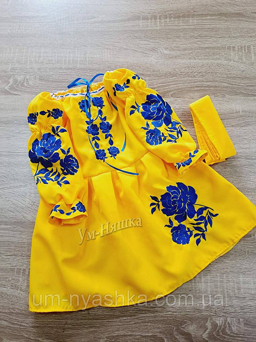 Сукня вишиванка жовто-синя Троянда червоно-біла Кривий Ріг - фото 5