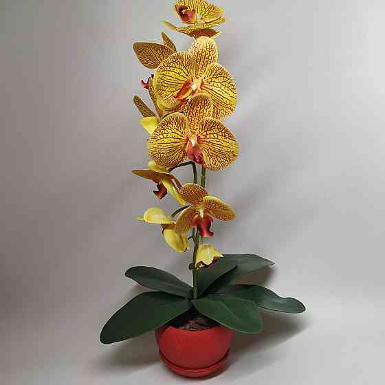Штучна латексна орхідея VIP у червоному керамічному кашпо на одну гілку жовто-червона Дніпро