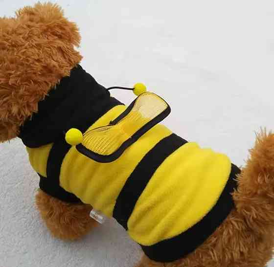 Карнавальний костюм для собак і котів Бжджілка S жовтий Київ