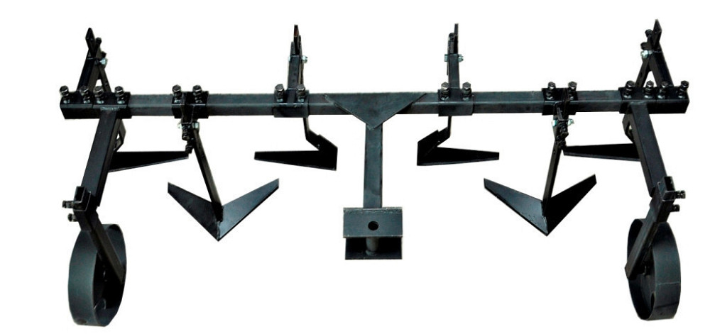 Пропольник широкорядный 