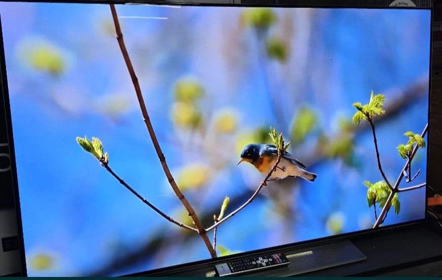 Телевізор OLED METZ Original Android. Київ - фото 4