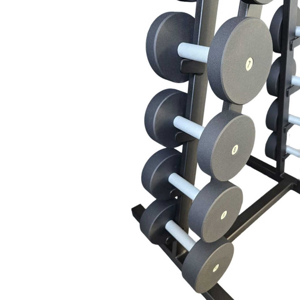 Гантельный ряд со стойкой Profi NE-PS-222-022 от 1 кг до 10 кг Винница - изображение 3