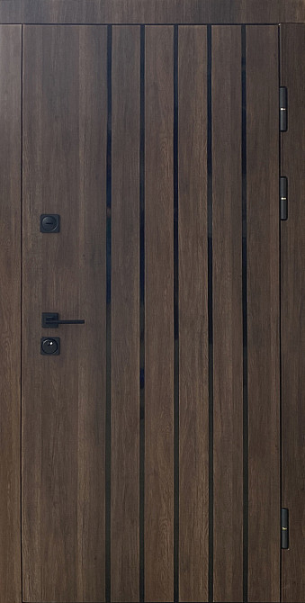 Дверь квартирная СТРОНГ серия ПРОТЕКТ 4 контура, модель СТРИМ 4К с зеркалом 860 Киев - изображение 1