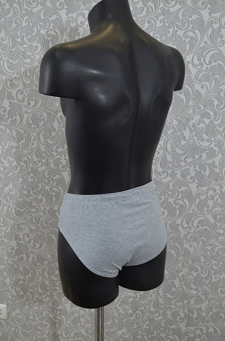 Трусы мужские хлопок Классика (2шт) Lans 02/005 Киев - изображение 5