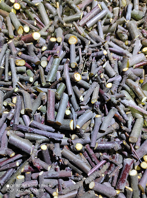 Веточки яблуни, 100г master sem Киев - изображение 1