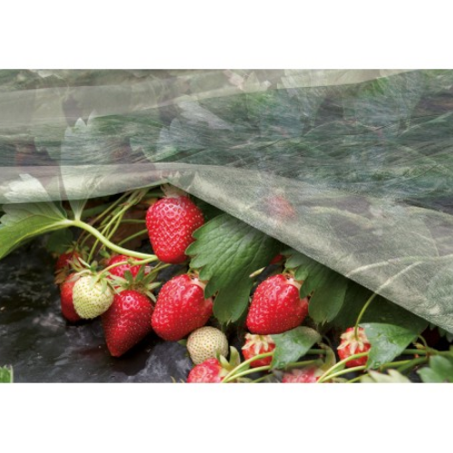 Агроволокно 30гр/м2 (3,2м) 100м білий "Херсонський стандарт" Агрін Житомир