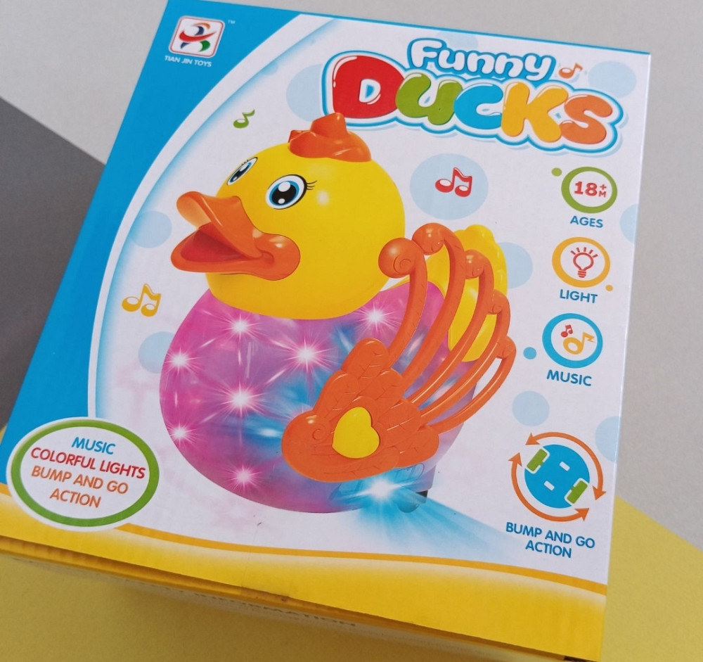 Музичне каченя Київ - фото 1