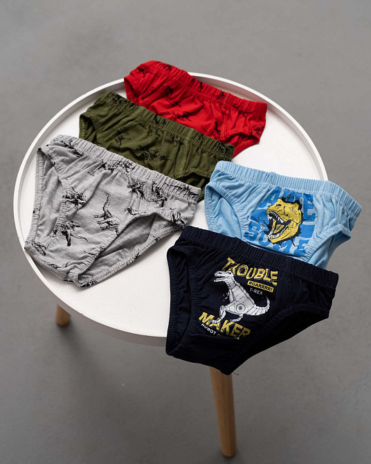 Трусики дитячі на хлопчика - Мікс з динозаврами (5 шт. в уп) Nicoletta 41611 4-5 Київ - фото 1