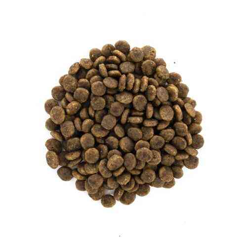 Корм сухой Brit Care Cat Grain Free Sensitive HDigestion Delicate Taste для кошек с чувствительным пищеварением индейка и лосось 40 Киев