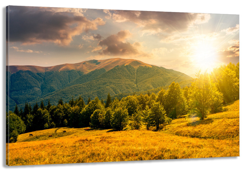 Картина холст в гостиную / спальню  Гори     MLP_211 60x100 см Киев - изображение 1