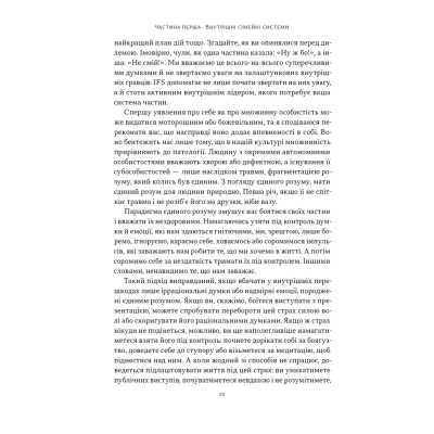 Книга Немає поганих частин. Як відновити цілісність і вилікуватися від травм - Річард Шварц Наш Формат (9786178277505) Винница - изображение 6