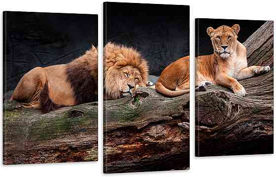 Модульна картина у вітальню/ спальню Пара Левев Art-563_3 Київ
