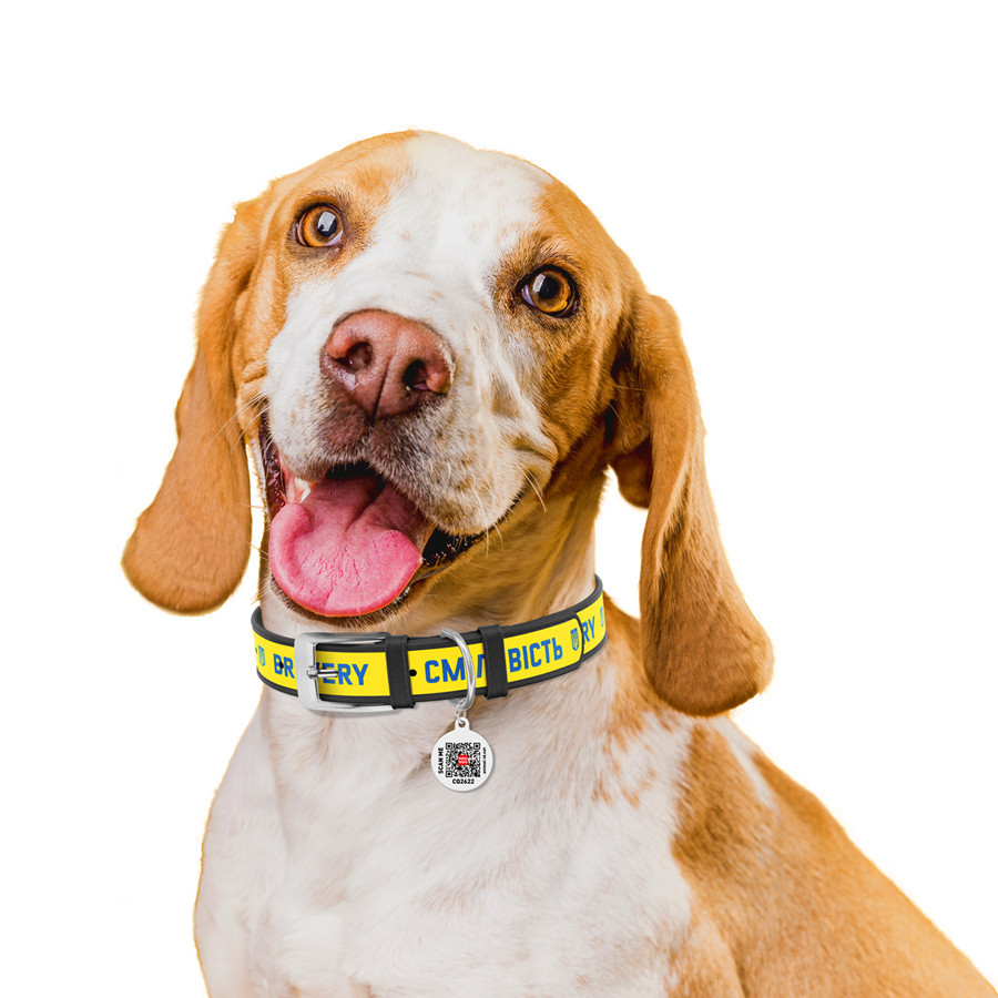 Нашийник для собак шкіряний WAUDOG Design з QR-паспортом, малюнок "Сдрібність", L, Ш 25 мм, Д 38-49 см чорний Вінниця - фото 4