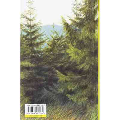 Книга Велике коло - Меґґі Шіпстед Видавництво Старого Лева (9789664483282) Вінниця