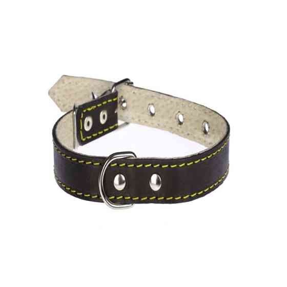 Нашийник 216 20мм "Класик" шкіра подвійний Вінниця