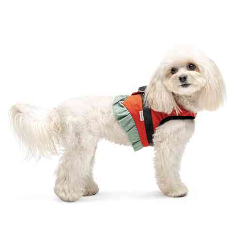 Шлея Monika ТМ Pet Fashion для собак XS2 Киев