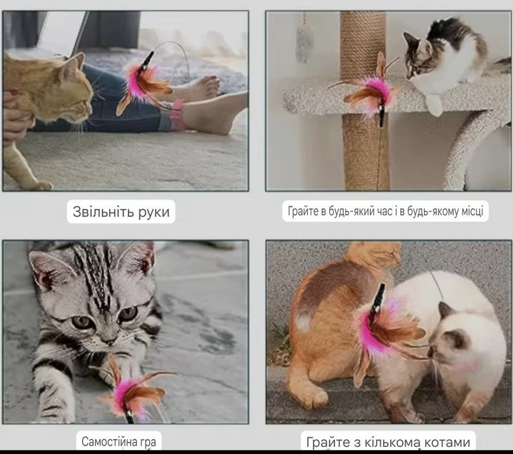 Нашийник з іграшкою для котиків пір'я з дзвіночком 30 см блакитний Київ - фото 3