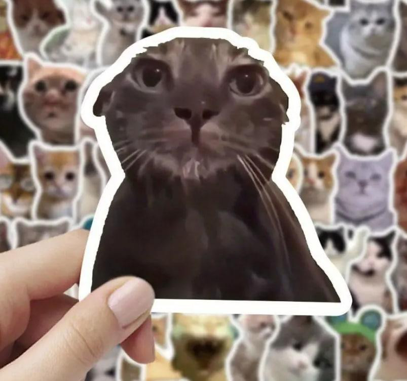 Мемные наклейки с котами 100 шт. наклейки для ноутбука, телефона. Киев - изображение 3