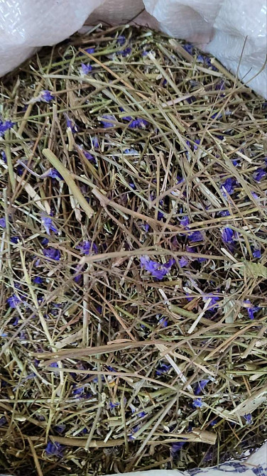 Сокирки / Живокост полевой (трава), 100г. MasterSEM Киев - изображение 1