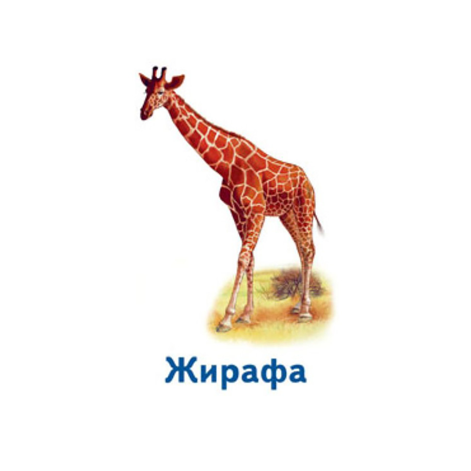 Настольная игра Парочки: Мир животных 1392003, 6 игр Винница - изображение 3