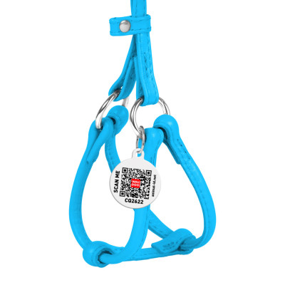 Шлея для собак WAUDOG Glamour з повідцем кругла Д 6 мм А 26-46 см В 30-50 см блакитна (34012) Вінниця - фото 2