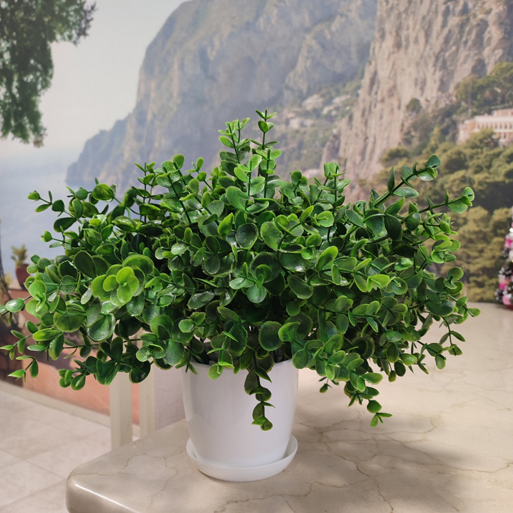 Штучний кущ  Самшиту із латексу Дніпро - фото 1