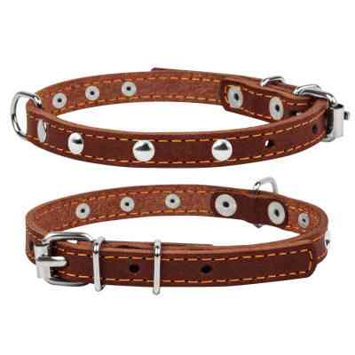 Ошейник для животных Collar одинарный с украшениями Ш 12 мм Д 24-32 см коричневый (00236) Винница