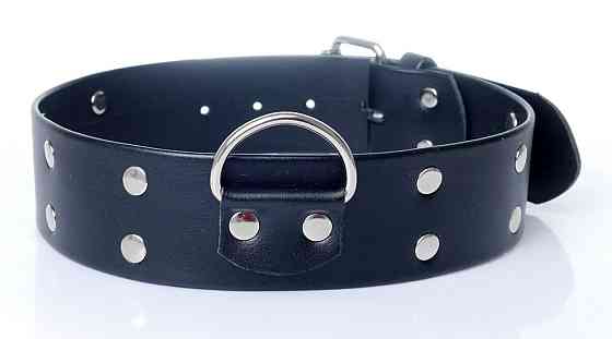 Ошейник из искуственной кожи с шипами Fetish Boss Series - Collar with studs, BS3300098 Sex Aura Киев