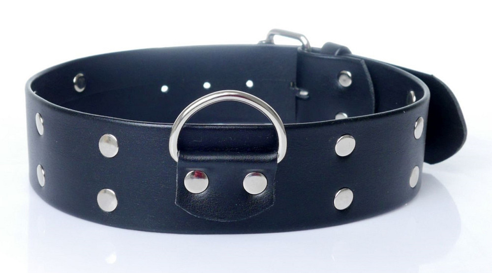 Нашийник зі штучної шкіри з шипами Fetish Boss Series - Collar with studs, BS3300098 Sex Aura Київ - фото 1