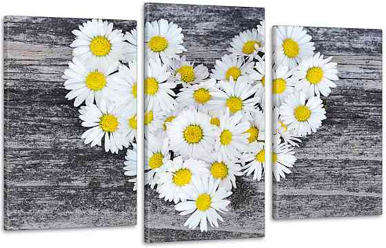 Модульная картина Ромашки Сердце Art-72_3 Киев