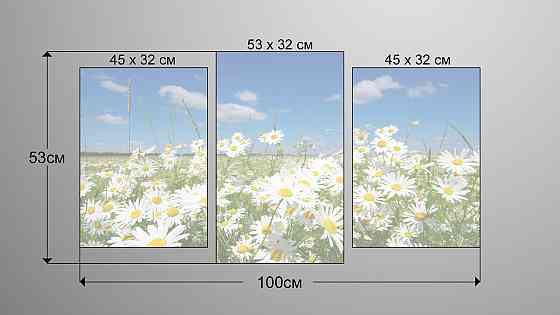 Модульная картина Природа Ромашка Art-47_3 Киев