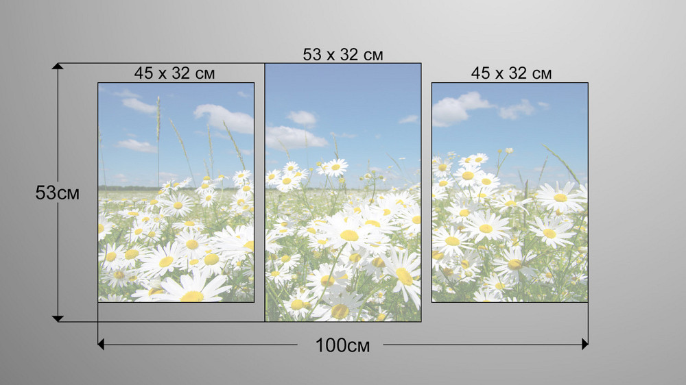 Модульна картина Природа Ромашка Art-47_3 Київ - фото 3