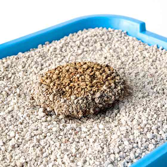 Натуральный бентонитовый наполнитель для кошачьих туалетов Тигра, 5 кг, гранула стандарт 1,5-2,5 мм, оранжевый Киев