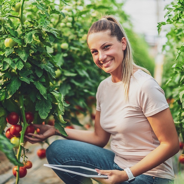 Теплиця, парник 10 м² (400 x 250 х 200см) Garden Rosa Польща Київ - фото 10