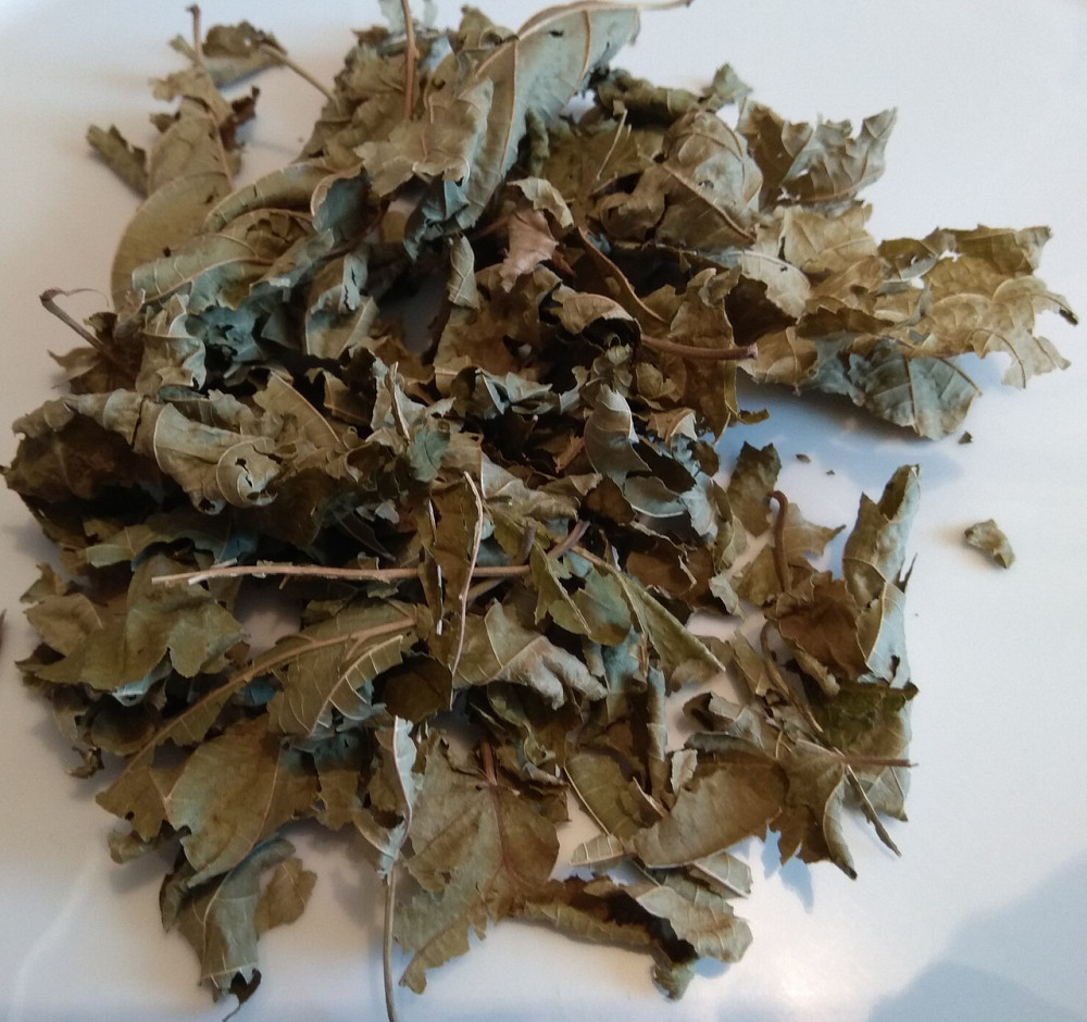 Лещина / Орешник (лист), 500г. MasterSEM Киев - изображение 1