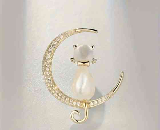 Брошка "Котик на місяці" Сміла