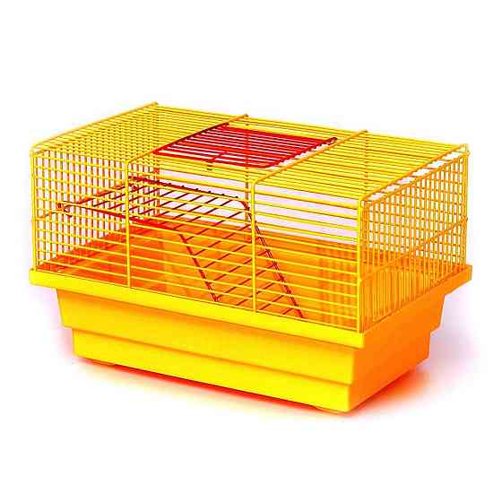 Компактна клітка Мишка для утримання дрібних гризунів (28 х 18 х 17 см), Лорі Київ