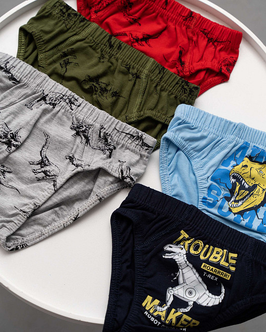 Трусики дитячі на хлопчика - Мікс з динозаврами (5 шт. в уп) Nicoletta 41611 4-5 Київ - фото 4