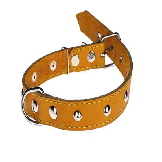 Нашийник 313 25 мм "Класик" шкіряний прикрашений Вінниця