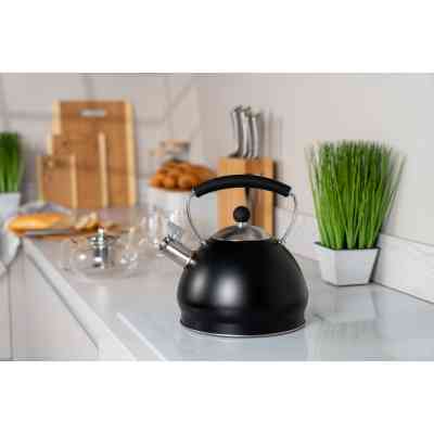 Чайник Ardesto Black Mars 3 л (AR0748KS) Винница