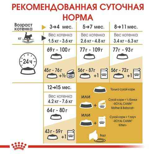 Royal Canin Maine Coon Kitten (Роял Канин Киттен мейн кун) сухой корм для котят 2 кг. Запорожье