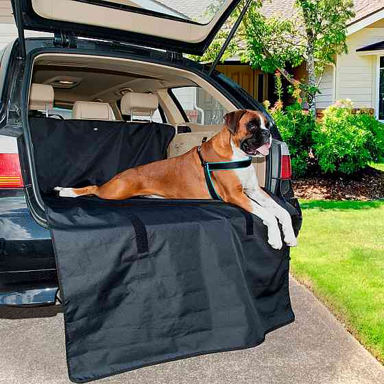 Захист — підстилка для багажника автомобіля для собак і кішок Ferplast Car Cover (Ферпласт Кар Ковер) Запоріжжя