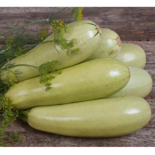 Кабачок Грибовський 3гр Смачний Житомир - фото 2